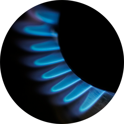 05c Gas hob burner 300.png - Navien